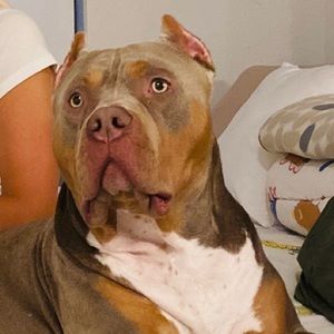 Meet your Posher, Mark